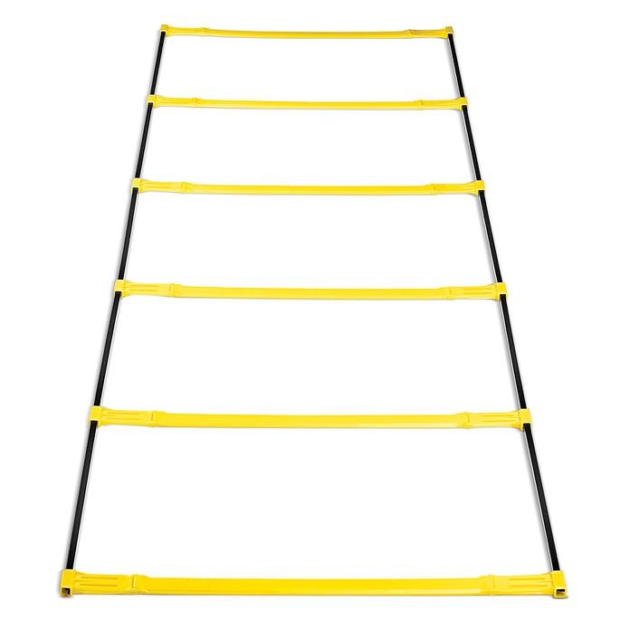 ELEVATION LADDER