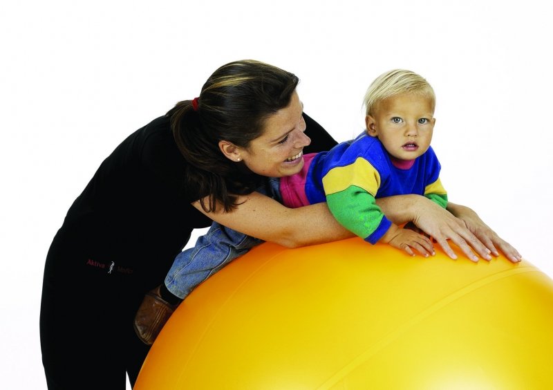 Theragym® Ball ABS®, blue-purple, 85 cm
