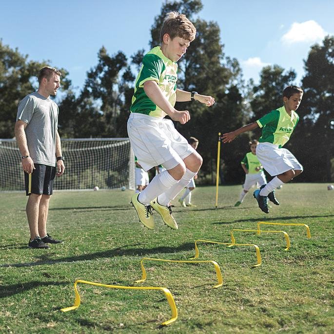6X HURDLES