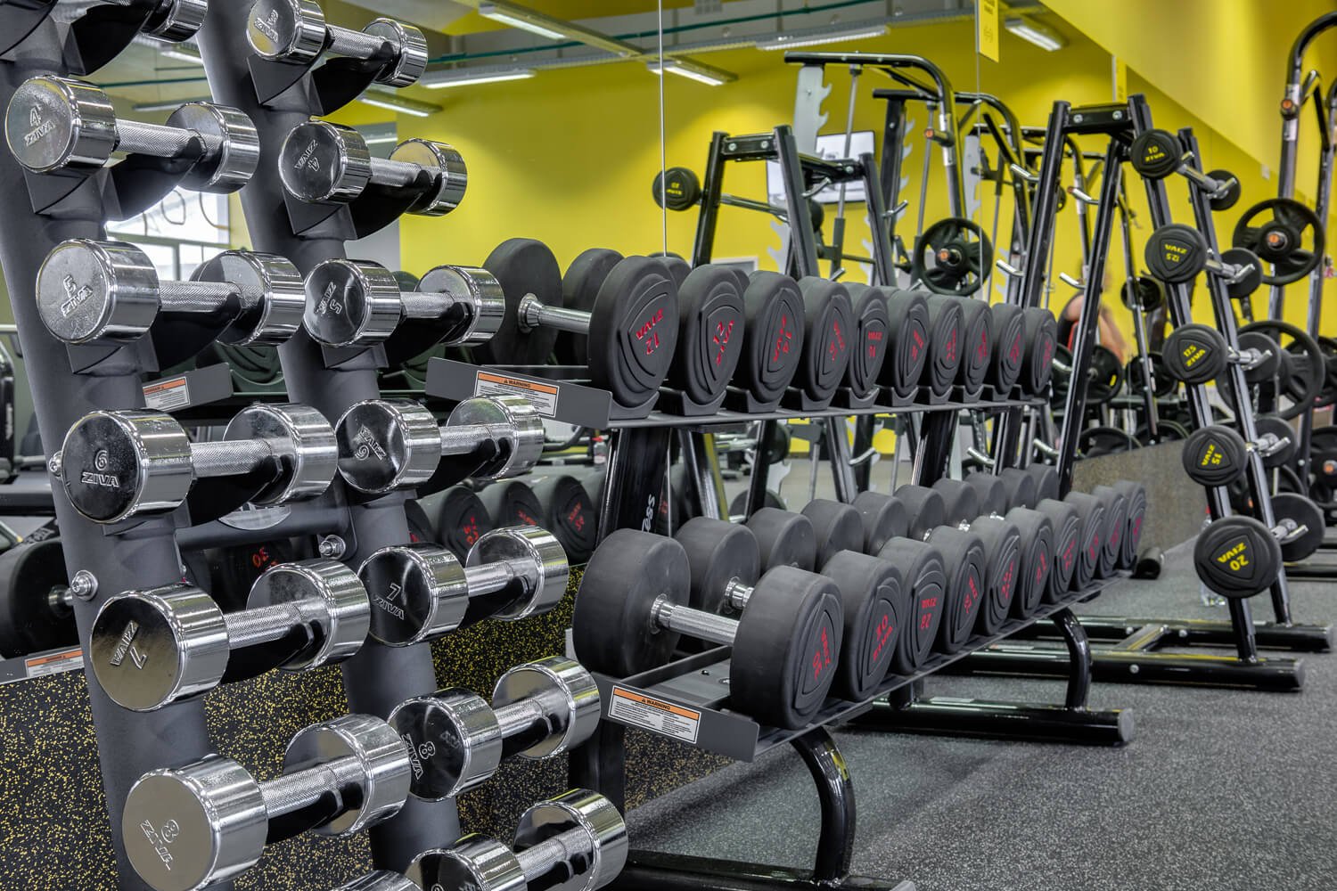 Lemon Gym Teika, foto 25