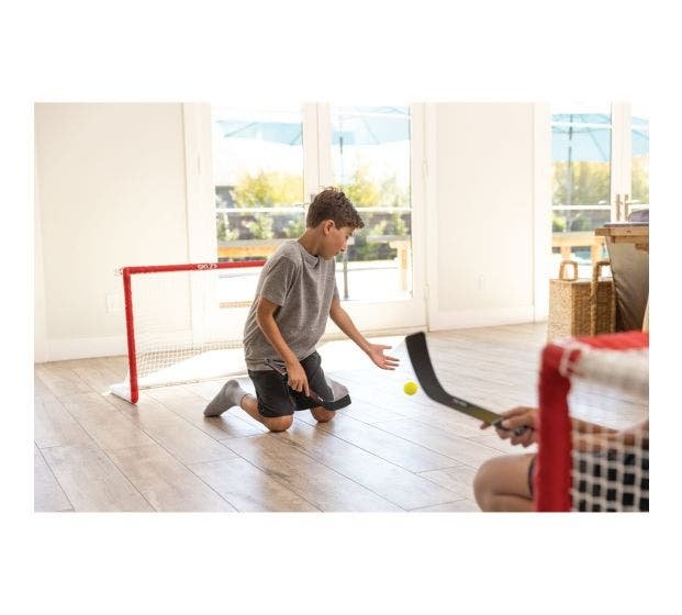 PRO MINI HOCKEY